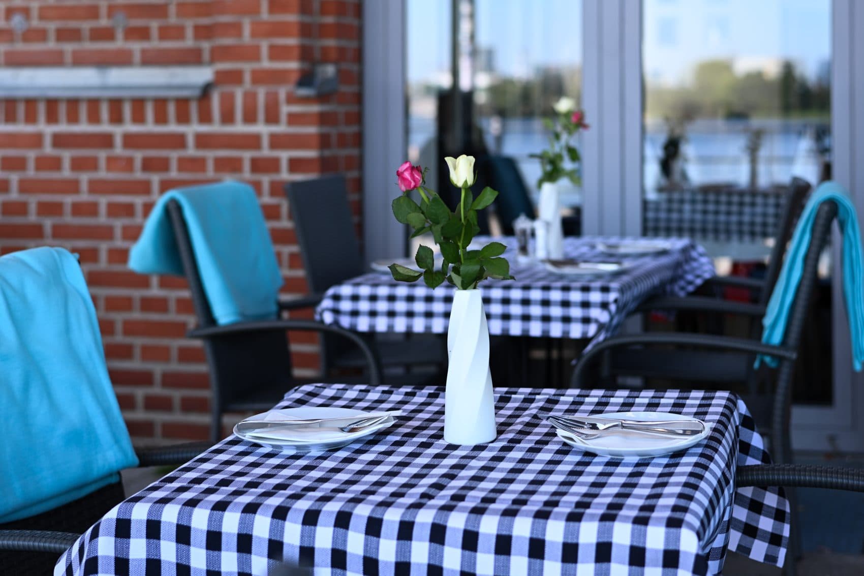 Roses and brick on the terrace
